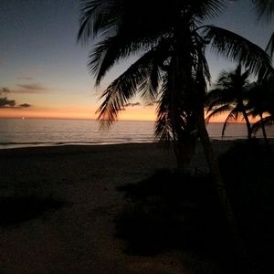 Meet your Posher, Missy